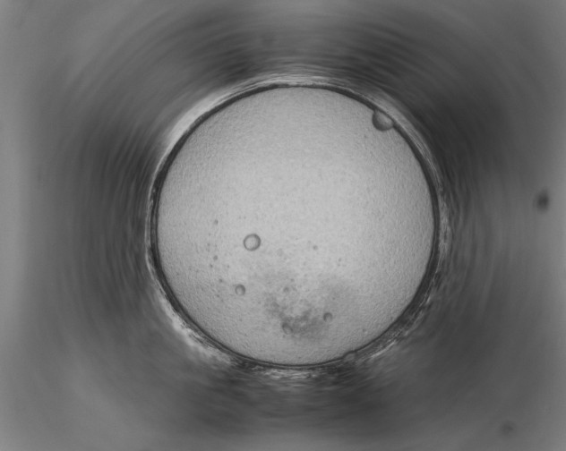 X0000116060861200912111526