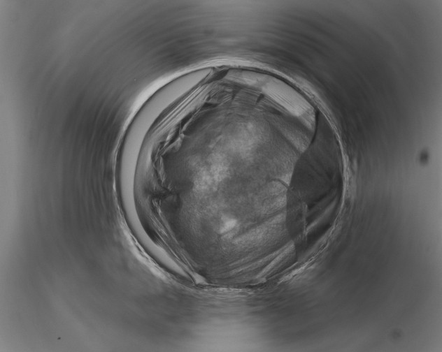 X0000116060862200912111526