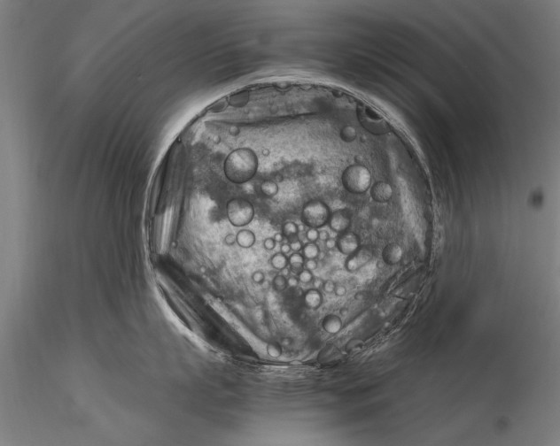 X0000116060863200912111526