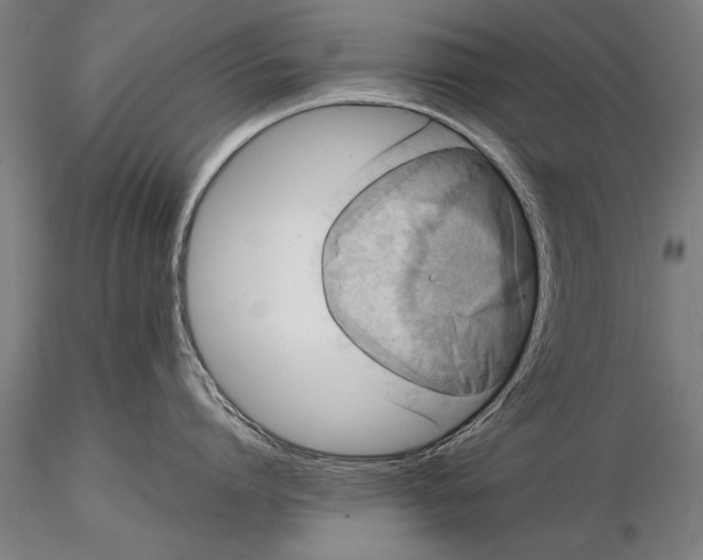 X0000116060864200912111526