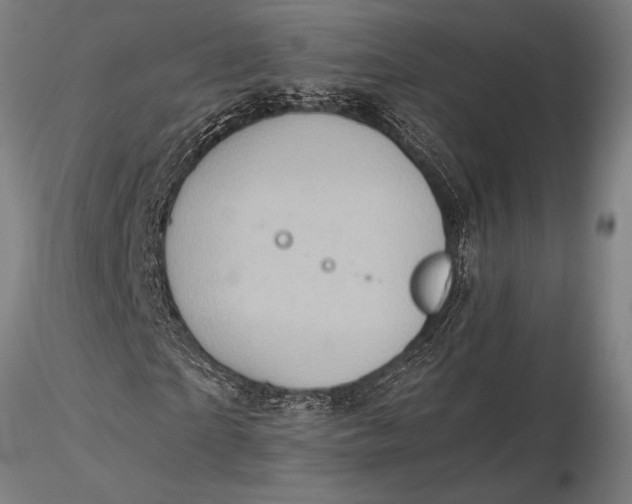 X0000116060865200912111526