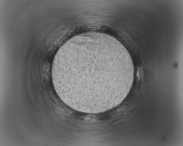 X0000116060867200912111526