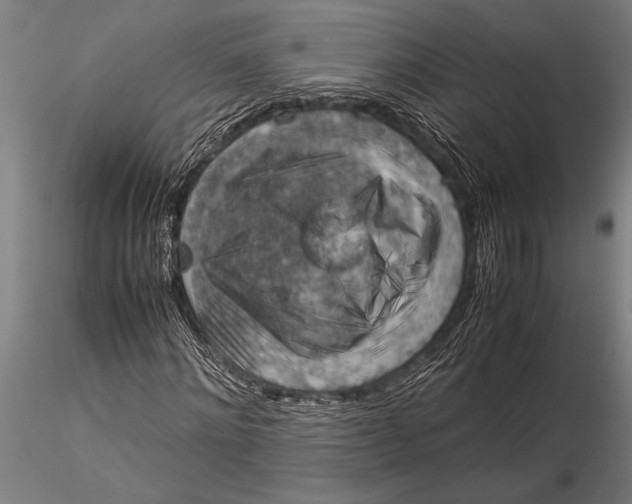 X0000116060868200912111526