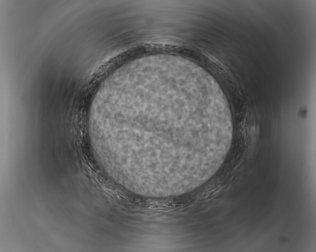 X0000116060870200912111526