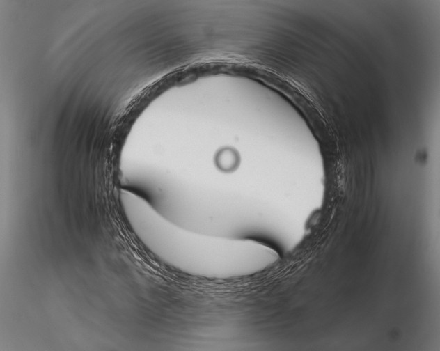 X0000116060872200912111526