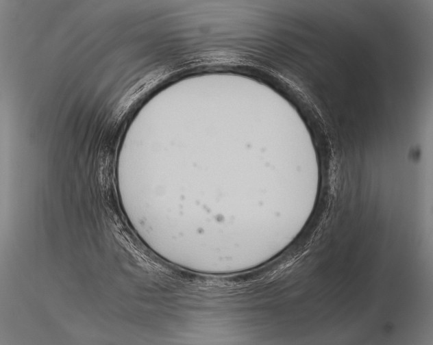 X0000116060873200912111526