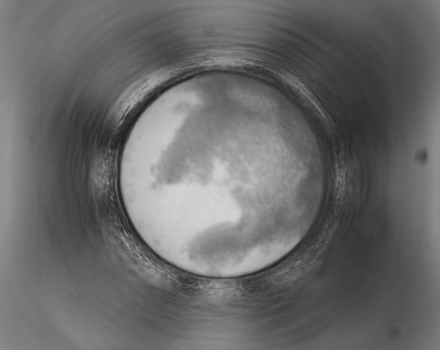 X0000116060874200912111526