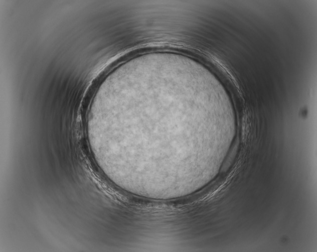 X0000116060876200912111526