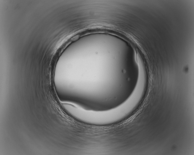 X0000116060877200912111526