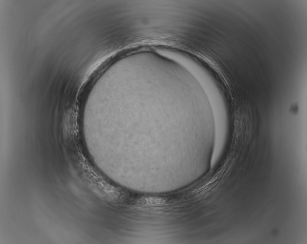 X0000116060878200912111526