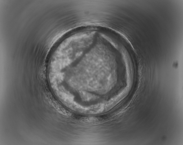 X0000116060879200912111526