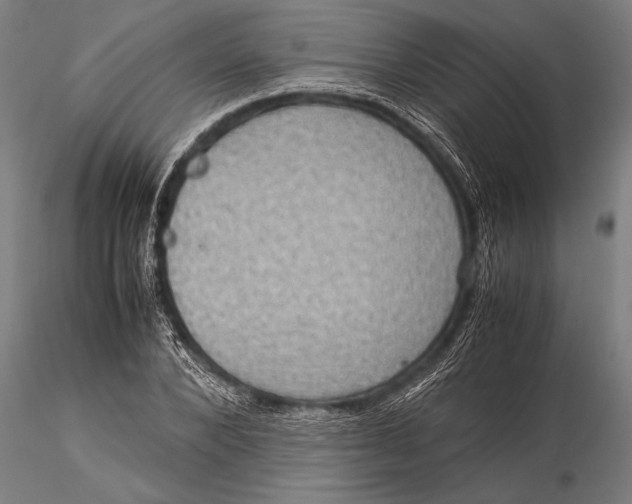 X0000116060880200912111526