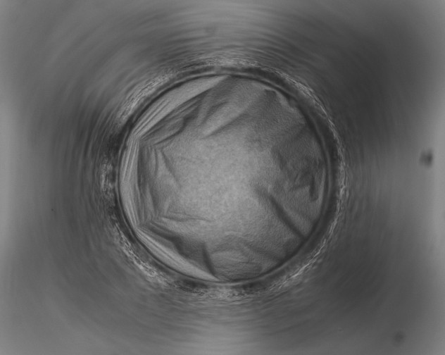 X0000116060881200912111526