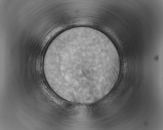 X0000116060882200912111526