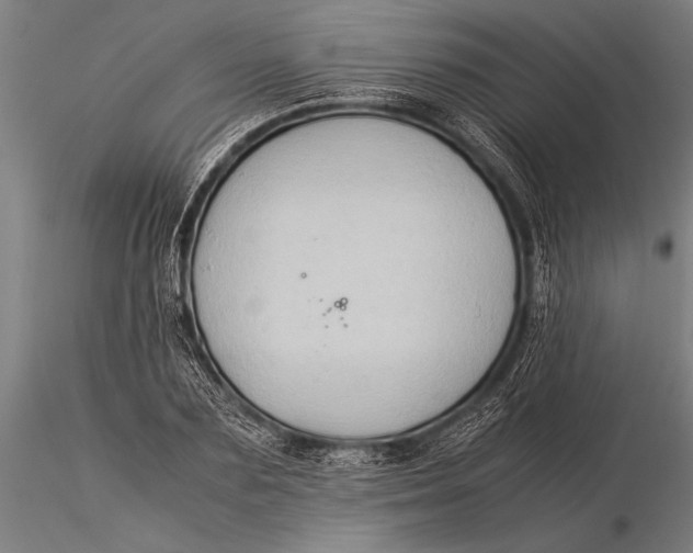 X0000116060883200912111526