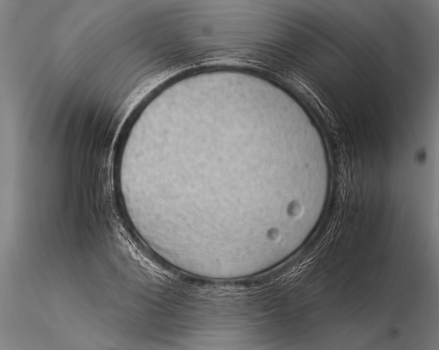 X0000116060884200912111526