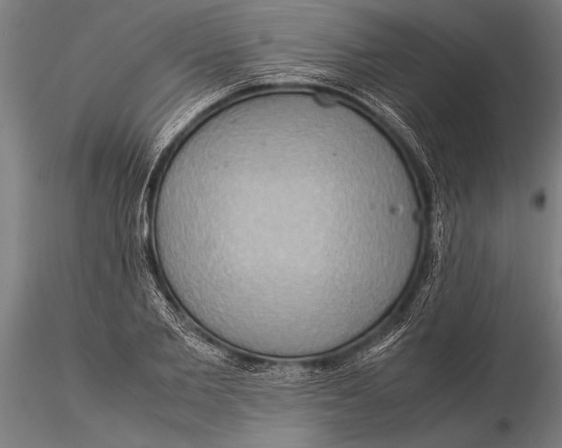 X0000116060885200912111525