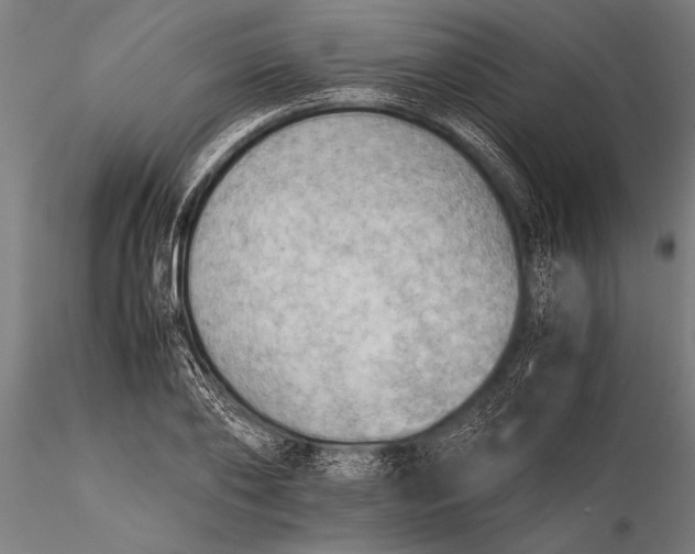 X0000116060886200912111525