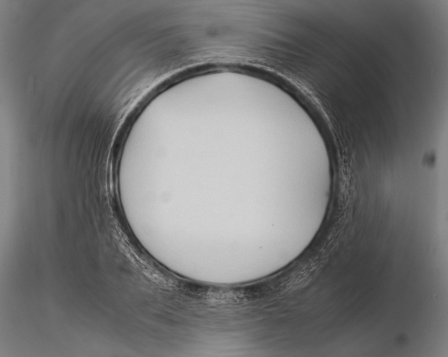 X0000116060887200912111525