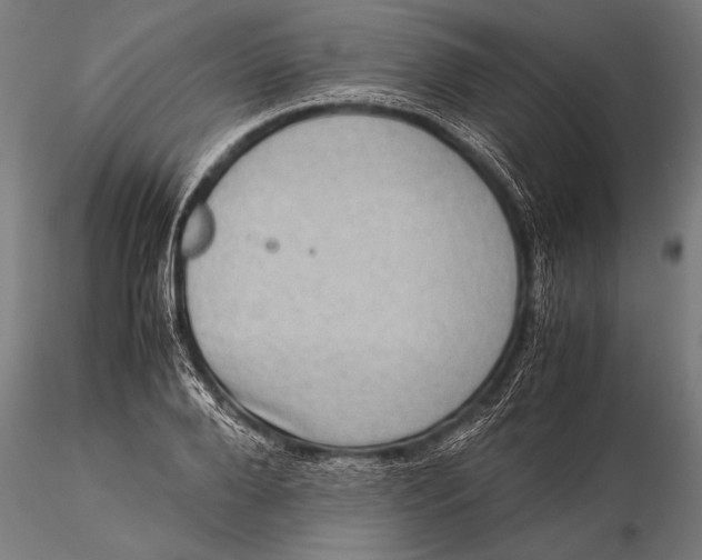 X0000116060888200912111525