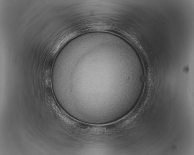 X0000116060889200912111525