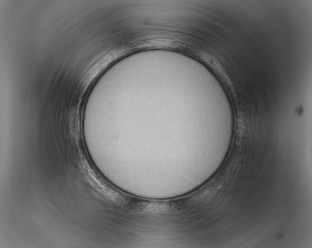 X0000116060890200912111525