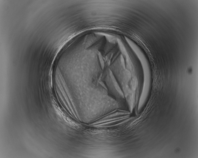 X0000116060892200912111525