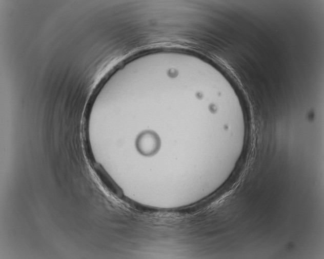 X0000116060893200912111525