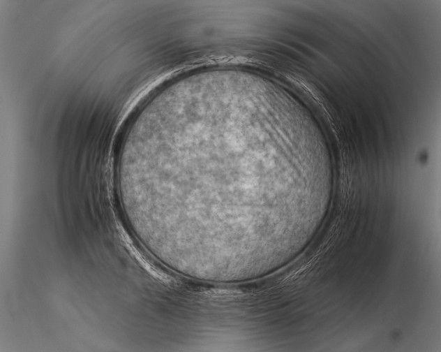 X0000116060894200912111525