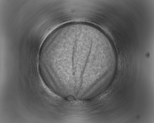 X0000116060895200912111525