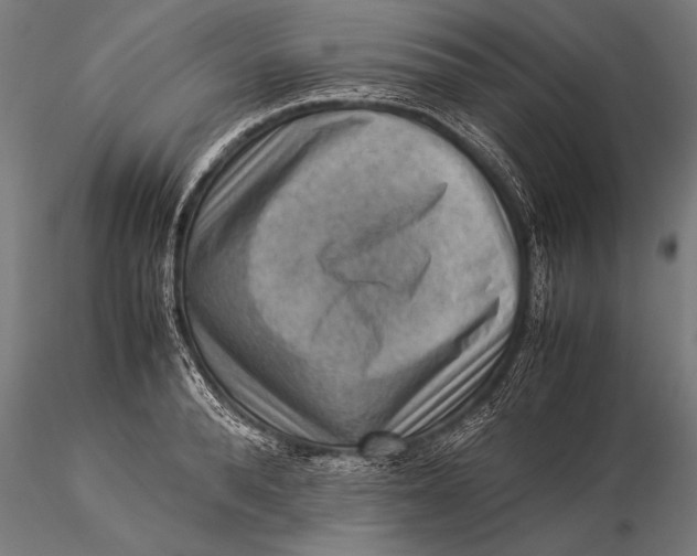 X0000116060896200912111525