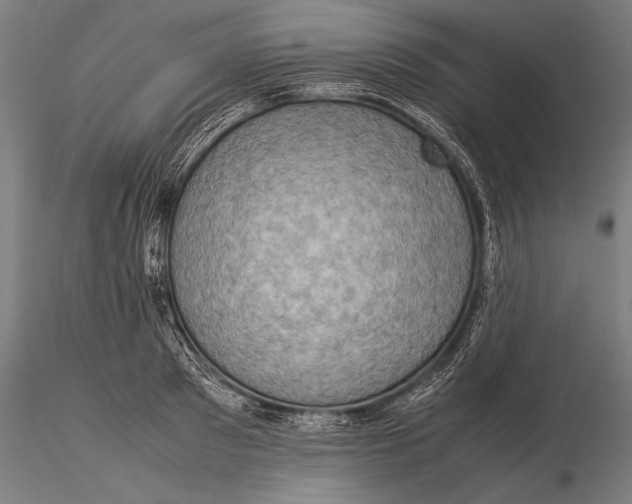 X0000116060897200912111525