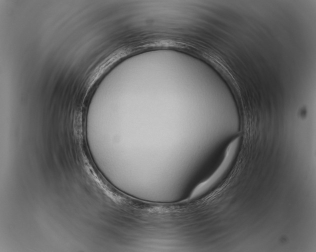 X0000116060898200912111525