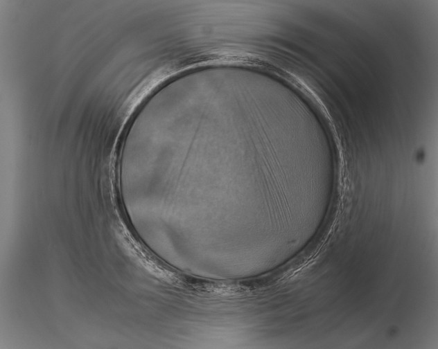 X0000116060899200912111525