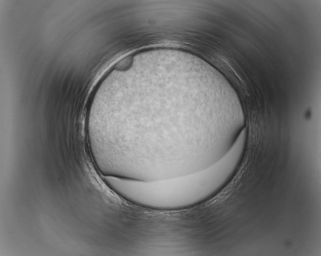 X0000116060900200912111525