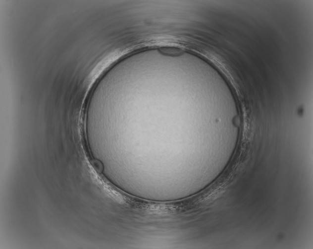 X0000116060901200912111525