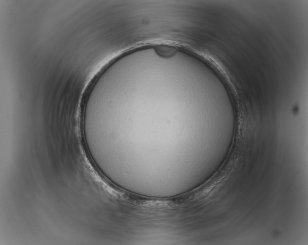 X0000116060902200912111525