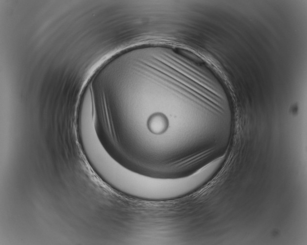 X0000116060904200912111525