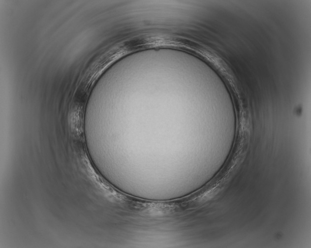 X0000116060905200912111525