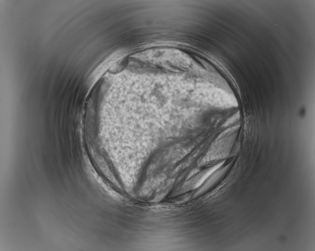 X0000116060906200912111525