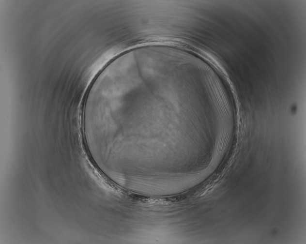 X0000116060907200912111525