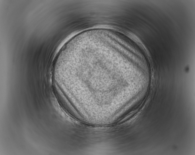 X0000116060908200912111525