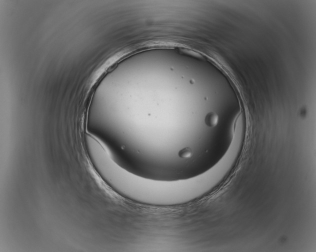 X0000116060909200912111525