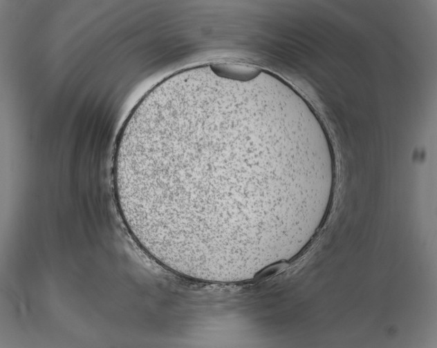 X0000116060912200912111525