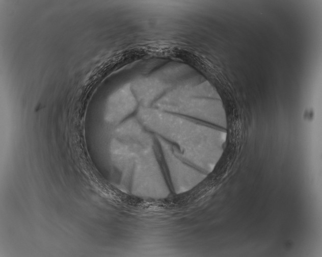 X0000116060913200912111524