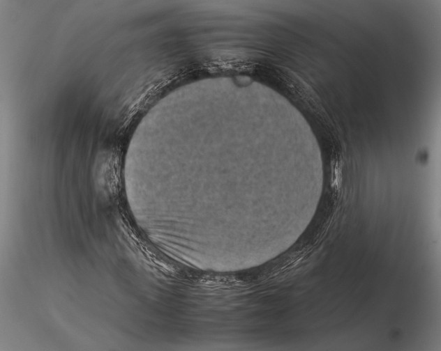 X0000116060915200912111524