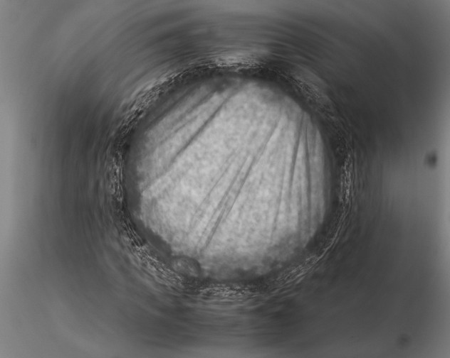 X0000116060917200912111524