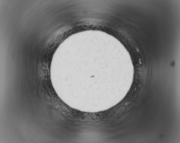 X0000116060918200912111524