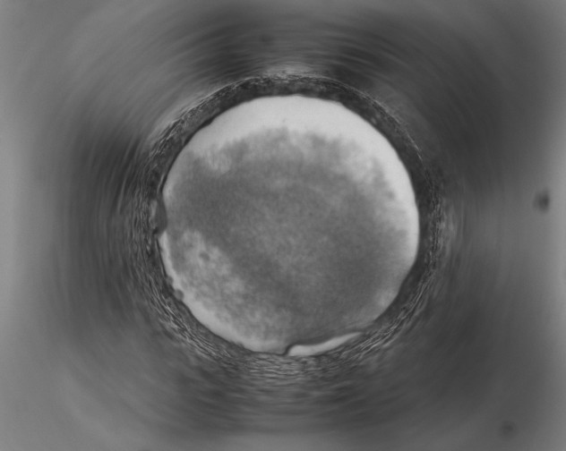 X0000116060919200912111524