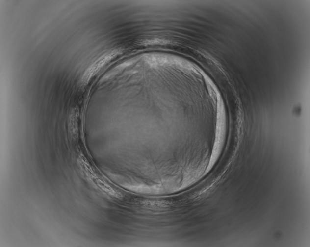 X0000116060921200912111524